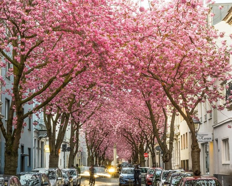 Symbolbild Filiale Bonn